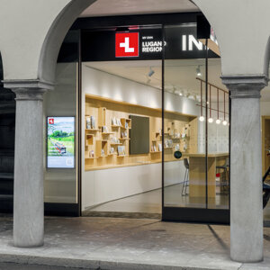 nicolò_panzeri_papercut_lugano-15.jpeg nicolò_panzeri_papercut_lugano-15.jpeg