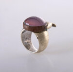 anello-cometa-di-halley