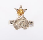 anello-corona-solare