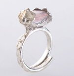 anello-messaggero-interstellare