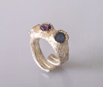 anello-nebulose-di-orione