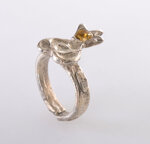 anello-corona-solare