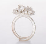 anello-rosa-del-deserto