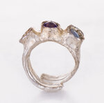 anello-nebulose-di-orione