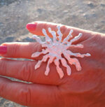 anello-gorgonia