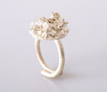 anello-rosa-del-deserto