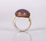 anello-cometa-di-halley