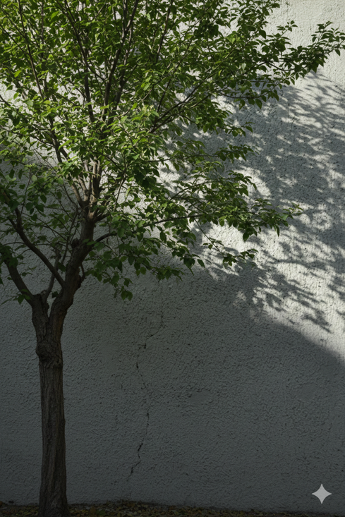 gemini_generated_image_46cph746cph746cp gemini_generated_image_46cph746cph746cp