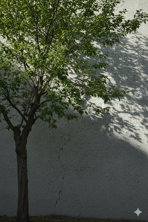 gemini_generated_image_46cph746cph746cp
