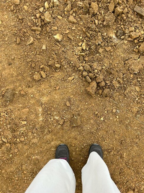 whatsapp image 2026-02-12 at 10.00.25.jpeg whatsapp image 2026-02-12 at 10.00.25.jpeg