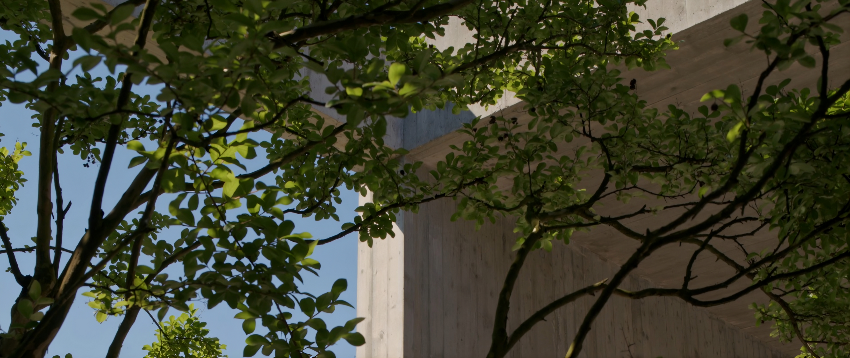 upscalemedia-transformed (1)