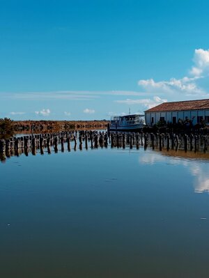 20250927_115658.jpeg 20250927_115658.jpeg