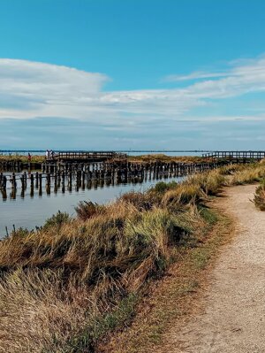 20250927_111448.jpeg 20250927_111448.jpeg