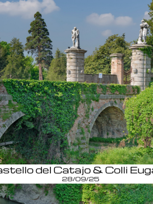 img-20251006-wa0042.jpeg img-20251006-wa0042.jpeg