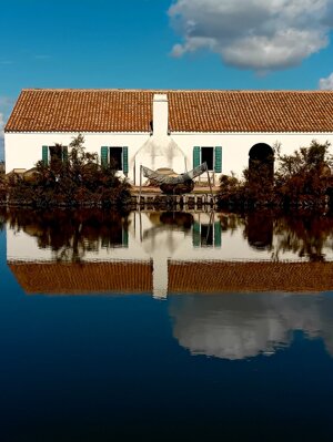 20250927_115653.jpeg 20250927_115653.jpeg