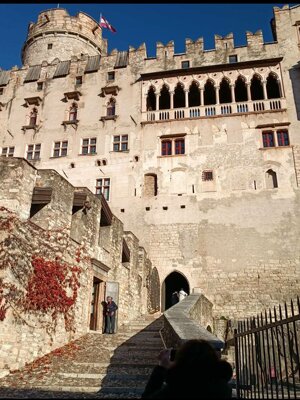 599525514_122148670706912995_2852968756250809704_n.jpeg 599525514_122148670706912995_2852968756250809704_n.jpeg