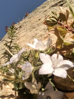 607664391_122151752090912995_7565773811548064874_n.jpeg 607664391_122151752090912995_7565773811548064874_n.jpeg