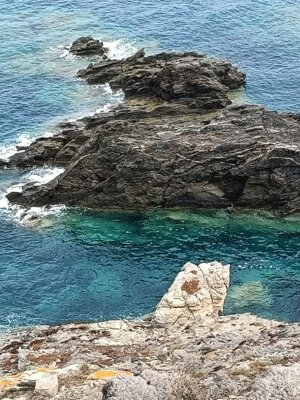 img-20250911-wa0016.jpeg img-20250911-wa0016.jpeg