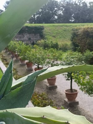 img-20251006-wa0021.jpeg img-20251006-wa0021.jpeg