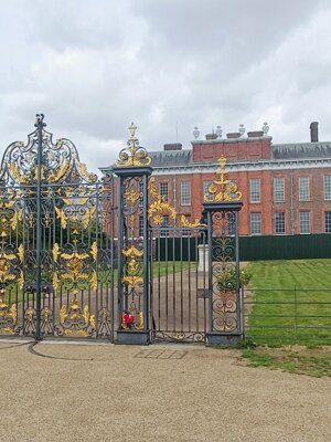 529332493_4226146654324225_3421461835238963963_n.jpeg 529332493_4226146654324225_3421461835238963963_n.jpeg