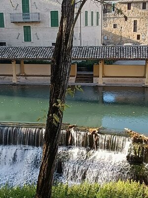 579895459_122143204160912995_5677612627900914674_n.jpeg 579895459_122143204160912995_5677612627900914674_n.jpeg