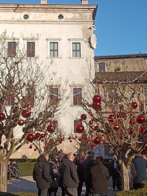 597689093_122148672608912995_4439896053227453528_n.jpeg 597689093_122148672608912995_4439896053227453528_n.jpeg