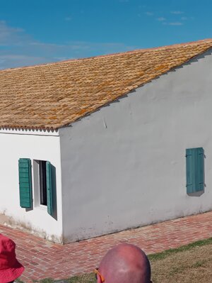 20250927_120406.jpeg 20250927_120406.jpeg