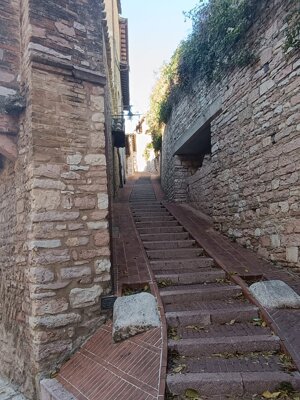 578262516_122143204538912995_6771954982050842999_n.jpeg 578262516_122143204538912995_6771954982050842999_n.jpeg