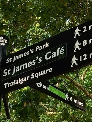 529379810_4227254304213460_242414384530643684_n.jpeg 529379810_4227254304213460_242414384530643684_n.jpeg