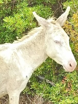 img-20250910-wa0006.jpeg img-20250910-wa0006.jpeg