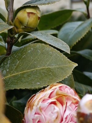 611008214_122152512368912995_2028326777708974478_n.jpeg 611008214_122152512368912995_2028326777708974478_n.jpeg