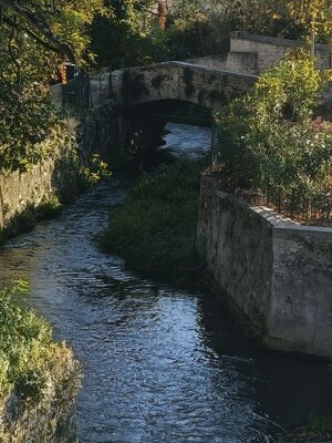 577714746_122143005494912995_906610965620296772_n.jpeg 577714746_122143005494912995_906610965620296772_n.jpeg