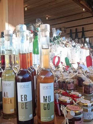 600292683_122148673748912995_5179966845064653845_n.jpeg 600292683_122148673748912995_5179966845064653845_n.jpeg