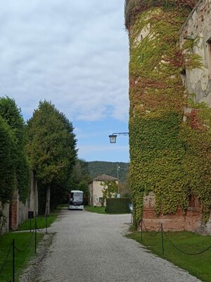 img-20251006-wa0026.jpeg img-20251006-wa0026.jpeg