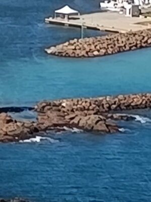 img-20250911-wa0046.jpeg img-20250911-wa0046.jpeg