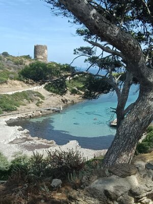 img-20250910-wa0008.jpeg img-20250910-wa0008.jpeg