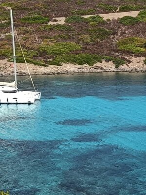 img-20250911-wa0039.jpeg img-20250911-wa0039.jpeg