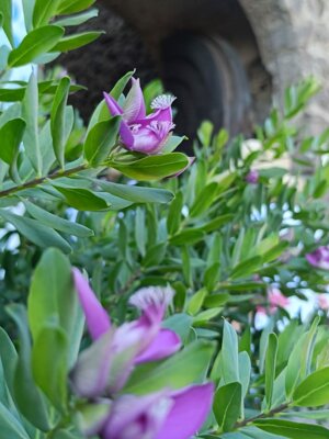 img-20250910-wa0027.jpeg img-20250910-wa0027.jpeg