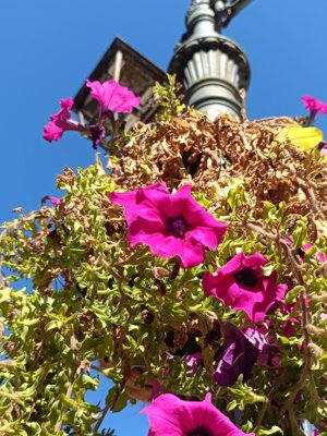 img-20250911-wa0022.jpeg img-20250911-wa0022.jpeg