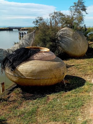 20250927_164510.jpeg 20250927_164510.jpeg