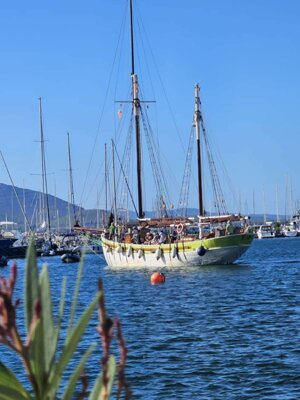 img-20250910-wa0023.jpeg img-20250910-wa0023.jpeg