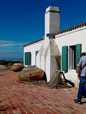 20250927_120506.jpeg 20250927_120506.jpeg