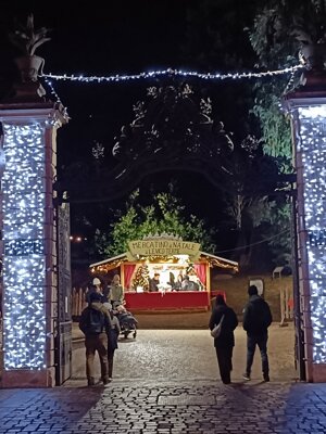 599660472_122148672176912995_5151789611589834056_n.jpeg 599660472_122148672176912995_5151789611589834056_n.jpeg