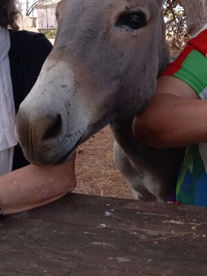 img-20250911-wa0032.jpeg img-20250911-wa0032.jpeg