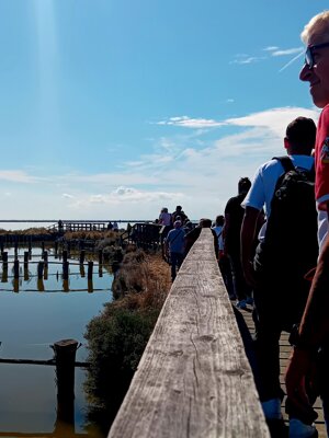 20250927_163647.jpeg 20250927_163647.jpeg