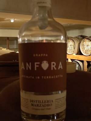 599654825_122149357676912995_820542188548488723_n.jpeg 599654825_122149357676912995_820542188548488723_n.jpeg