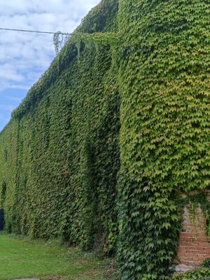 img-20251006-wa0011.jpeg img-20251006-wa0011.jpeg