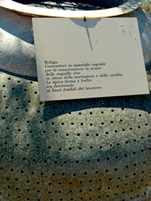 20250927_103215.jpeg 20250927_103215.jpeg