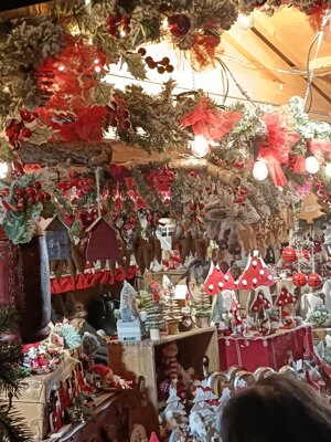 597381534_122148670916912995_1577396037379486019_n.jpeg 597381534_122148670916912995_1577396037379486019_n.jpeg