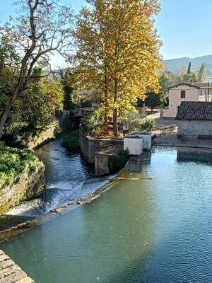 577908710_122143005722912995_8462377255927419236_n.jpeg 577908710_122143005722912995_8462377255927419236_n.jpeg